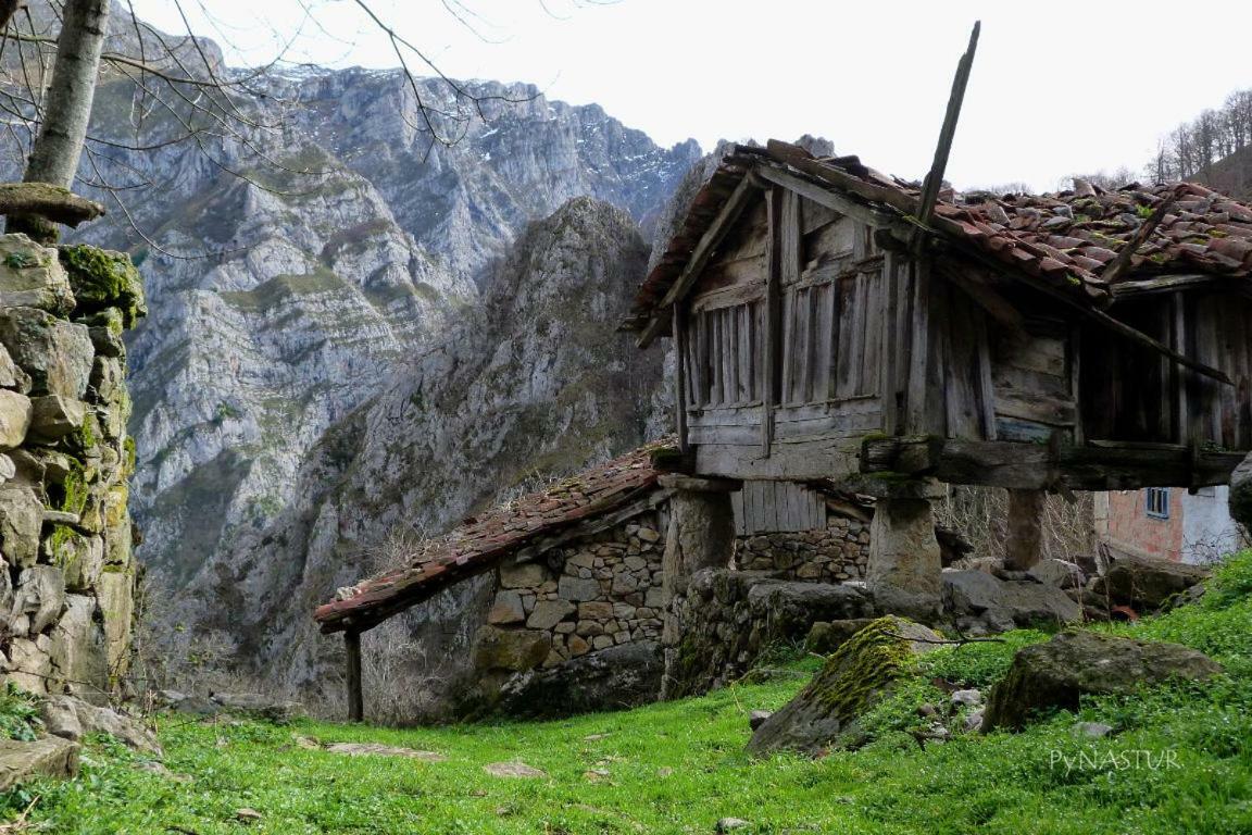 La Nana Del Mar / The Lullaby Of The Sea On Old Harbour Apartamento Cudillero Exterior foto