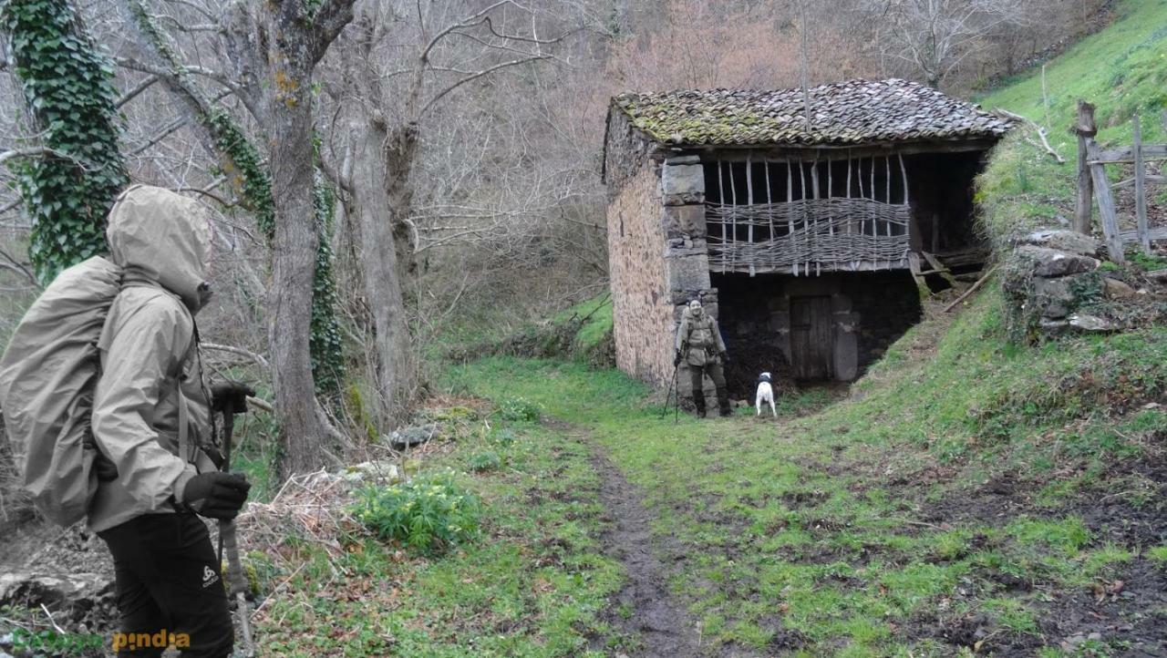 La Nana Del Mar / The Lullaby Of The Sea On Old Harbour Apartamento Cudillero Exterior foto